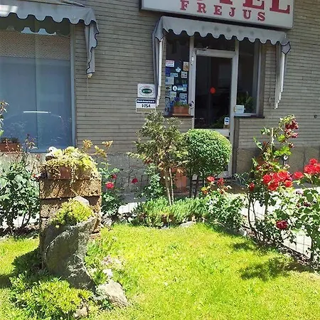 弗雷瑞斯酒店 3* 科莱尼奥
